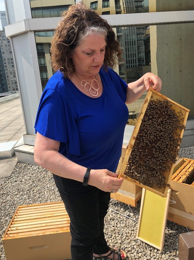 Photo of GWLRA employee with beehives