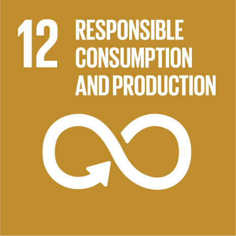 SDG 12 - Responsible Consumption and Production