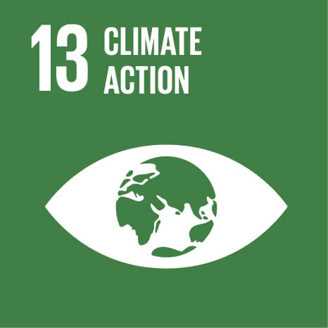 SDG 13 - Climate Action