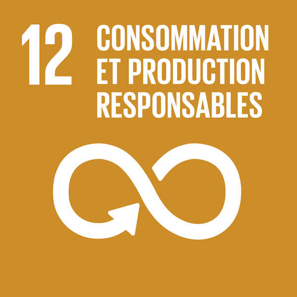 ODD 12 : Consommation et productions responsables