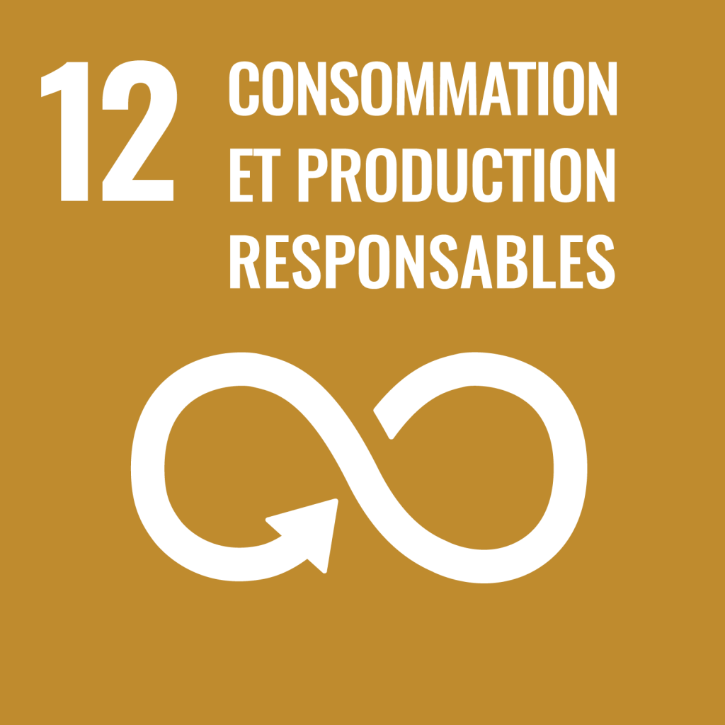 ODD 12 - Consommation et production responsables